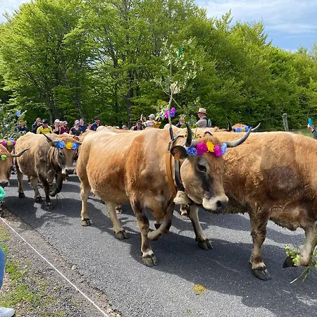 Casa vacanze Maison De Campagne *